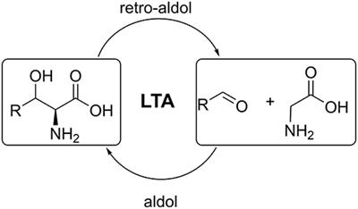 Comparison of L-Threonine Aldolase Variants in the Aldol and Retro-Aldol Reactions